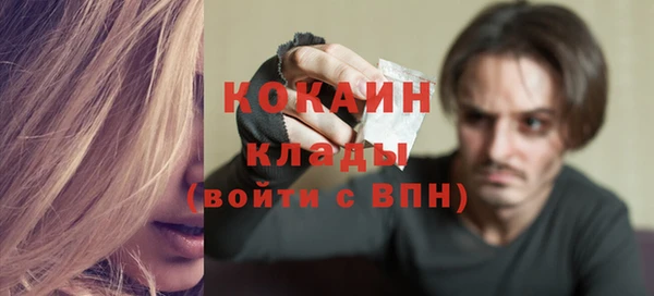 мдпв Пересвет