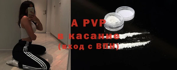 сатива Осташков
