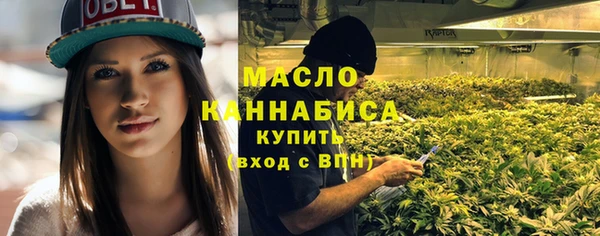 мдпв Пересвет