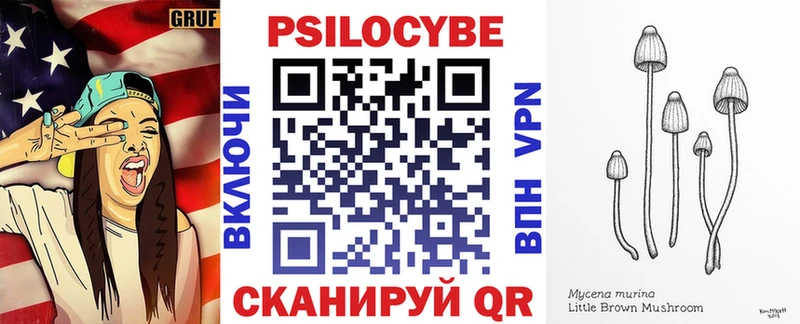 Галлюциногенные грибы Psilocybine cubensis  Купить где  Курск 